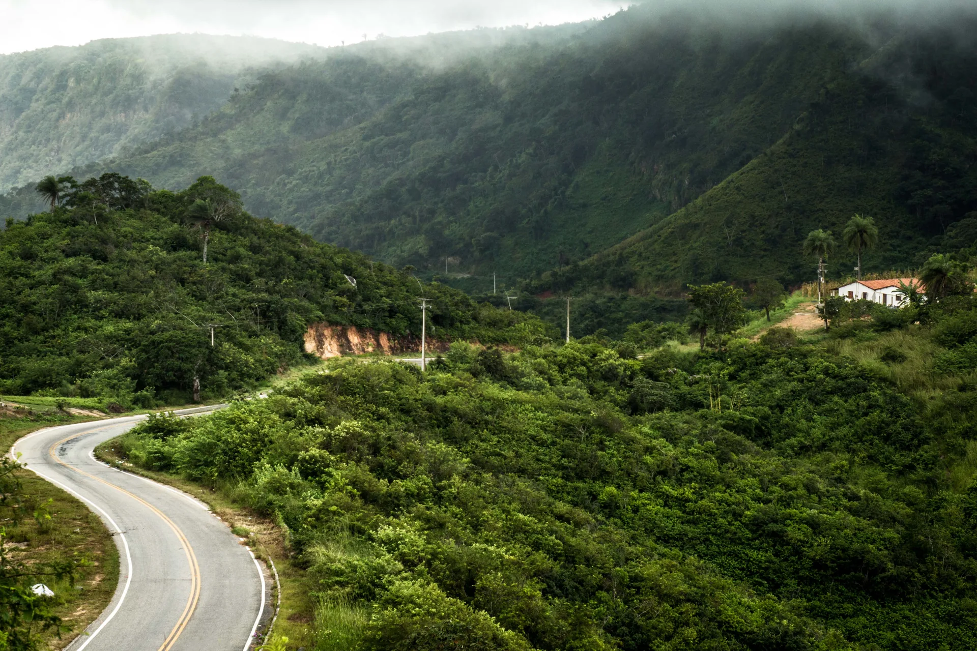 Estrada sinuosa entre as encostas verdes da Ibiapaba, em Viçosa do Ceará